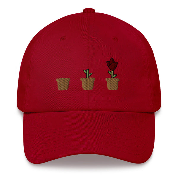 Continuous Growth Hat